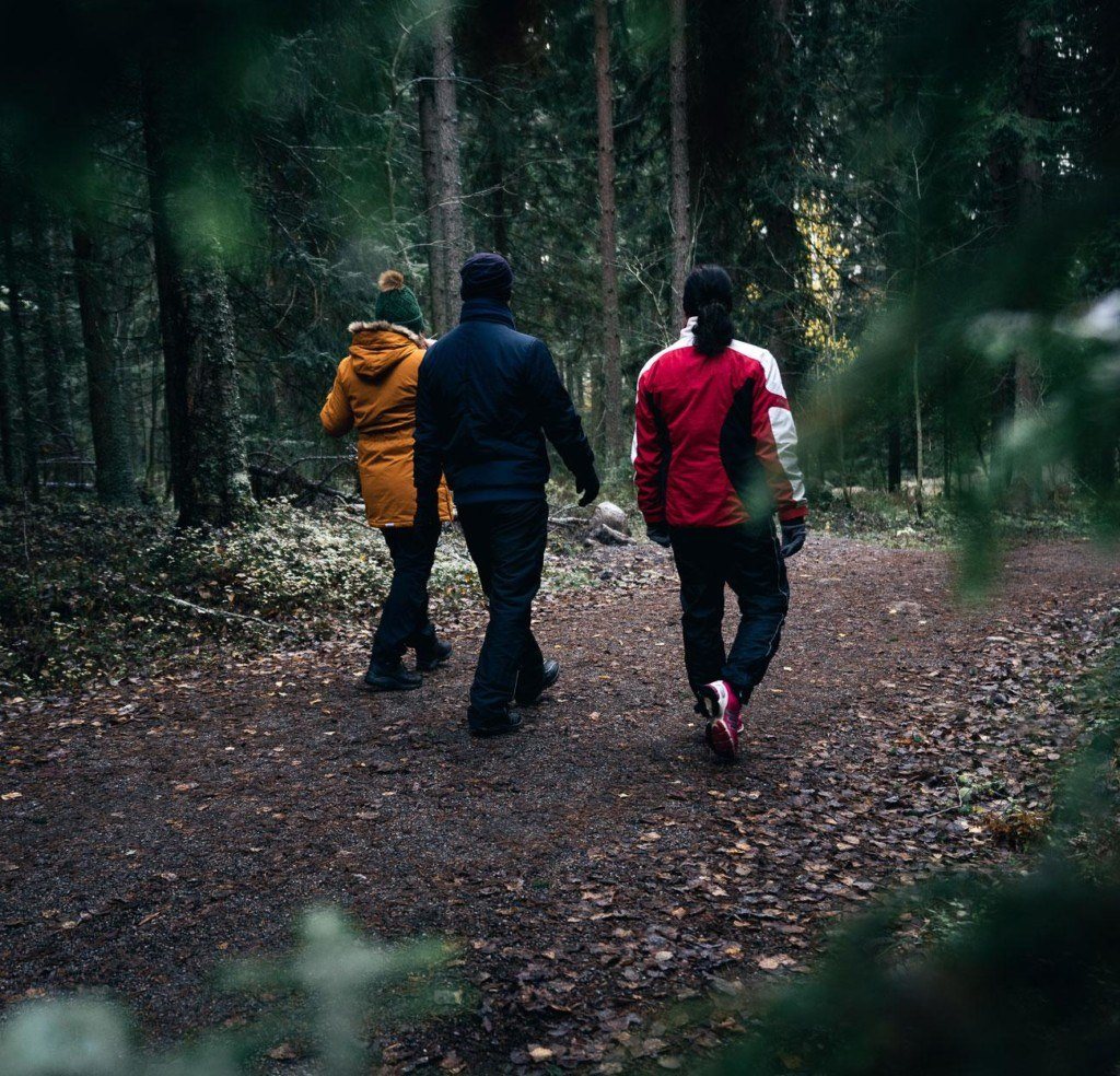 Tre personer går i skogen.