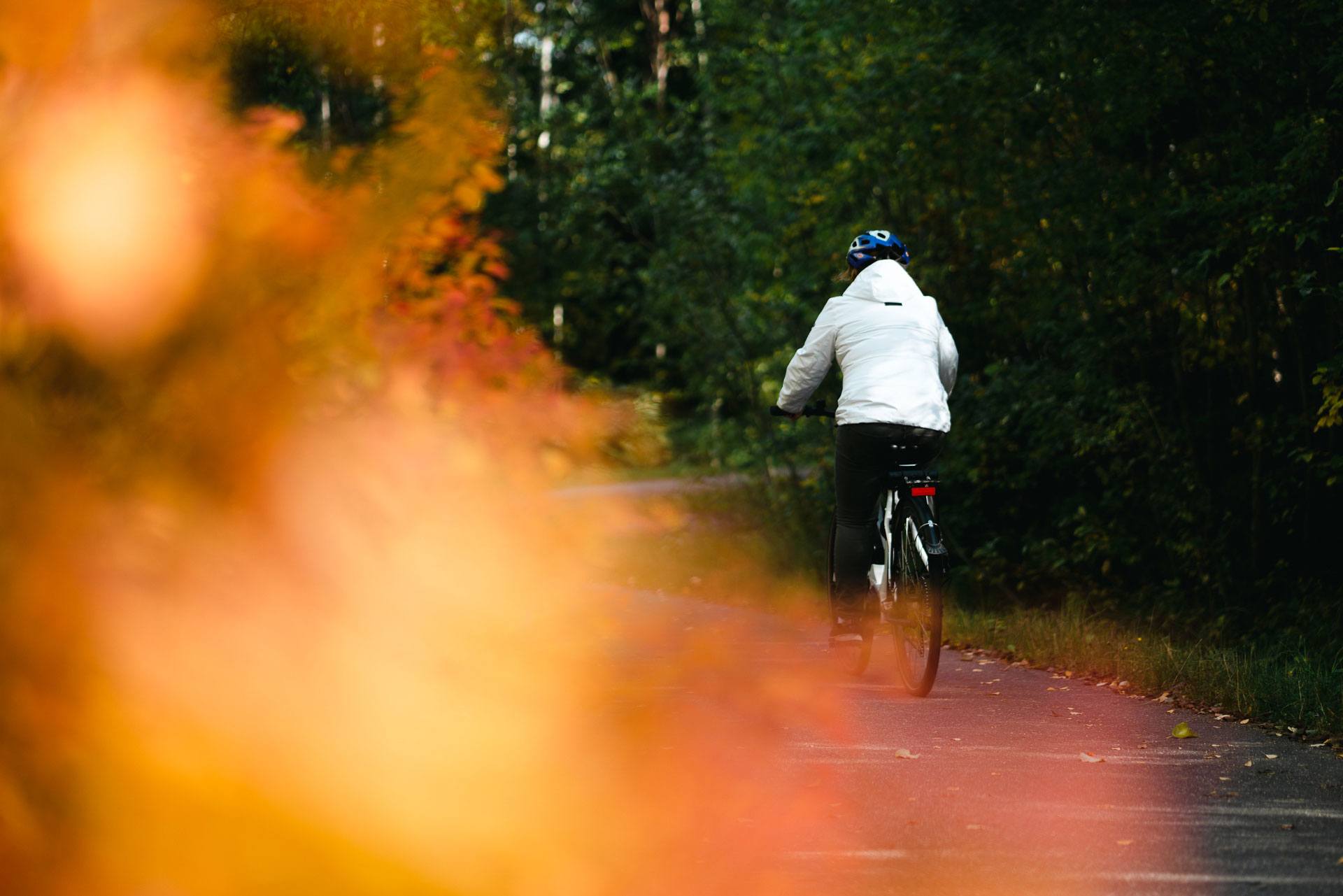 Kuvassa on etualalla syksyisiä värikkäitä lehtiä ja taustalla näkyy pyöräilijä, joka pyöräilee poispäin kamerasta.